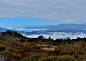 125049142_2845525905725197_7962103909768442258_n