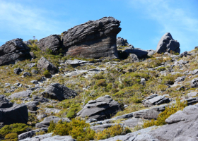 489738210_4049848821959560_6334357914765819324_n