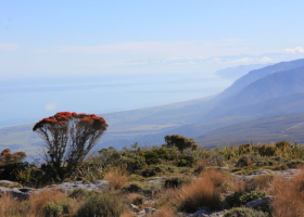 489748726_4049848688626240_3362427091614905087_n