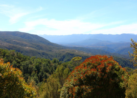 490299533_4049848691959573_494593069111320054_n